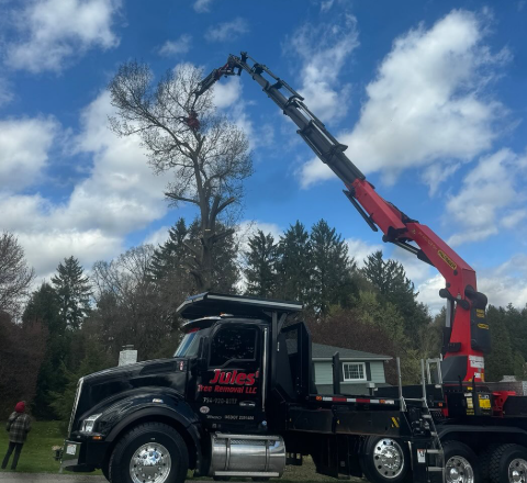 Tow truck with red crane lifting a tree branch beside a house under a cloudy sky
