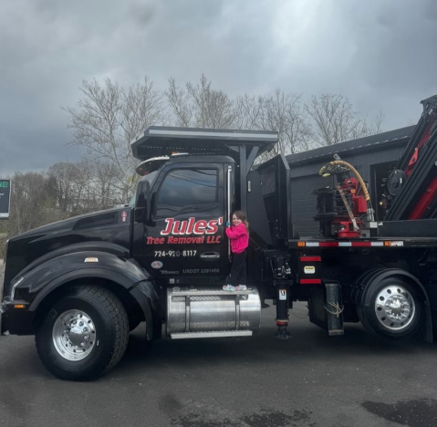 Black dump truck with “Jules Tree Service” branding and red equipment, parked outdoors on a cloudy day