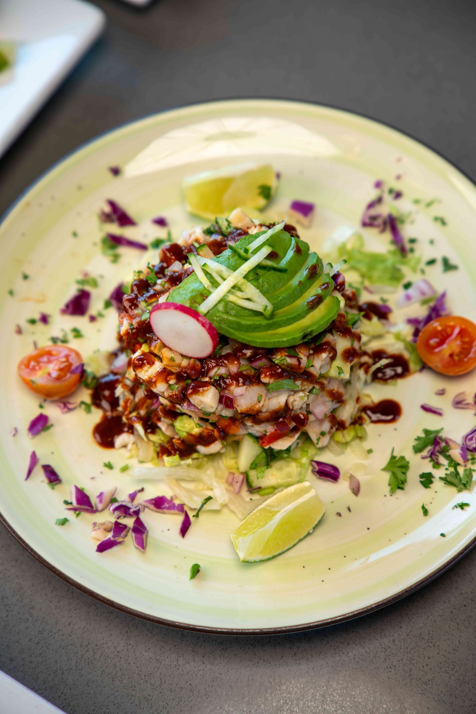 Plate of ceviche with avocado, lime, radish, tomato, and red cabbage.