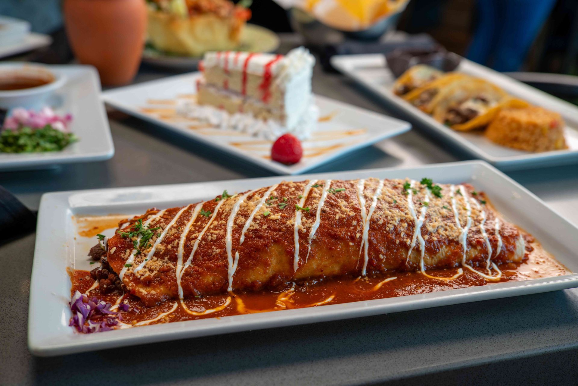 Large burrito covered in red sauce and drizzle, on a white plate with other dishes in the background.