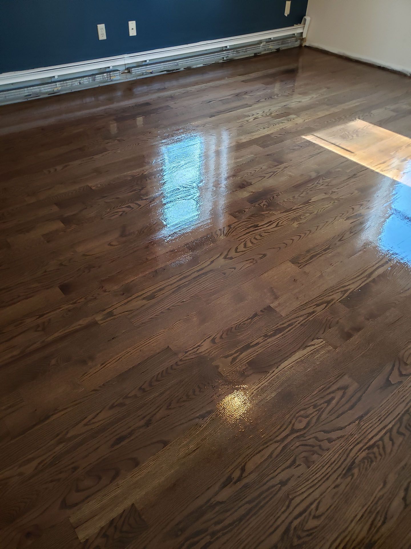 A living room with hardwood floors and a blue wall