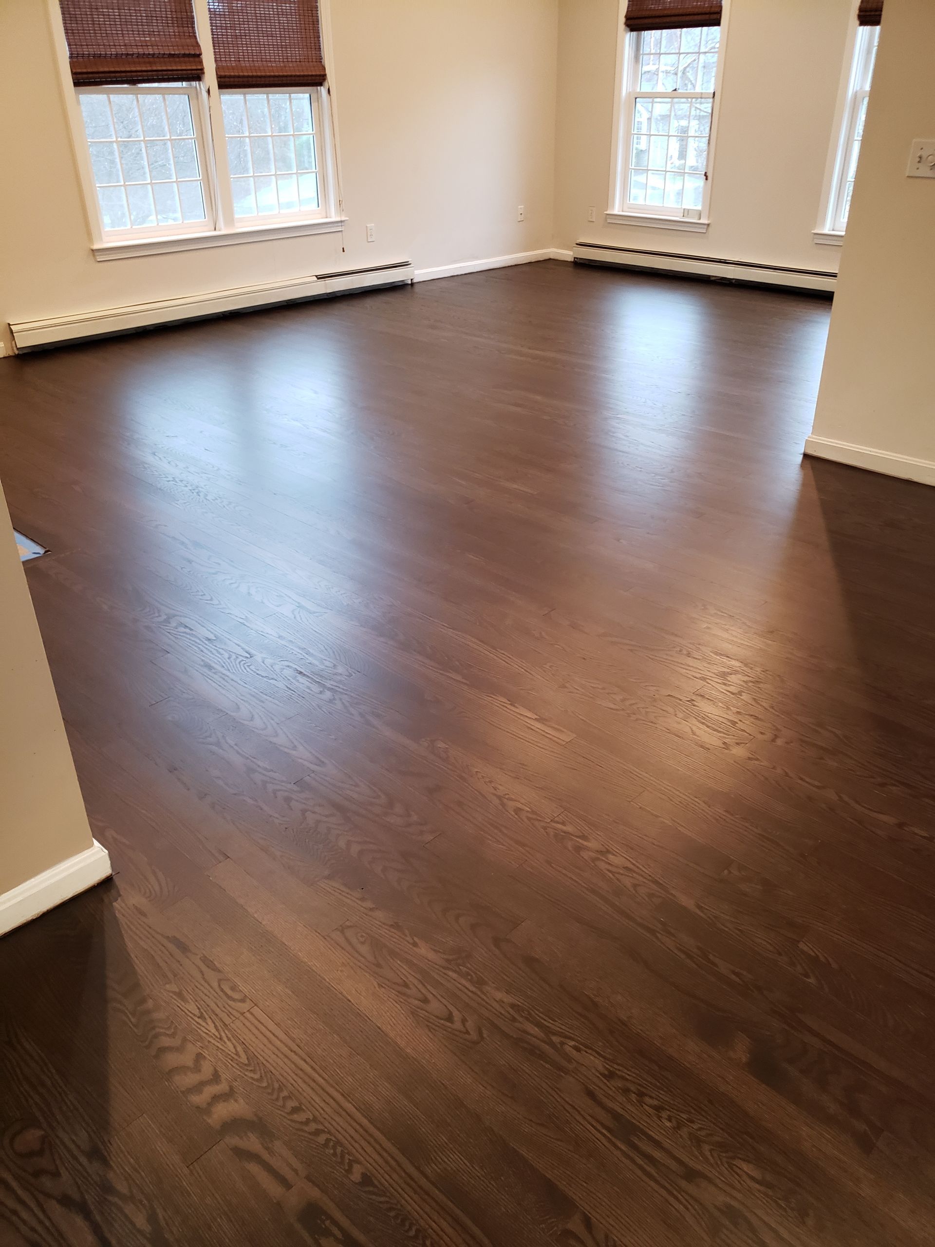 A living room with a wooden floor and two windows