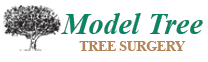 Model Tree Logo