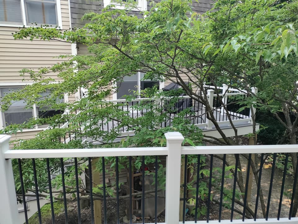 A white deck with a black railing and trees in the background