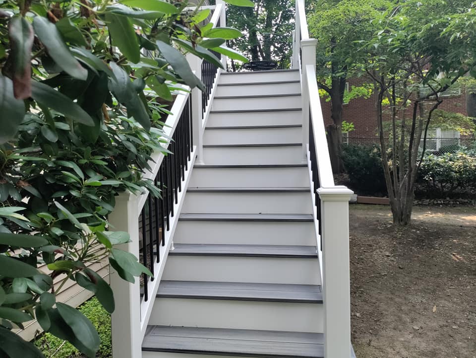 A set of stairs leading up to a house surrounded by trees