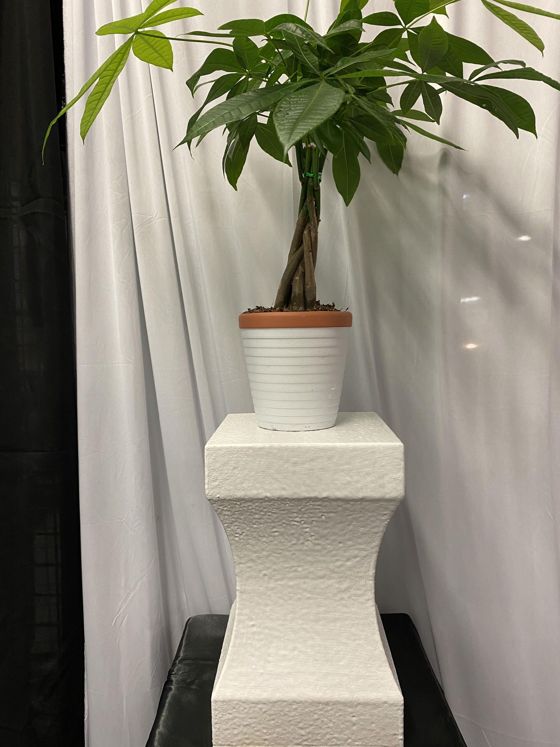 plant stand