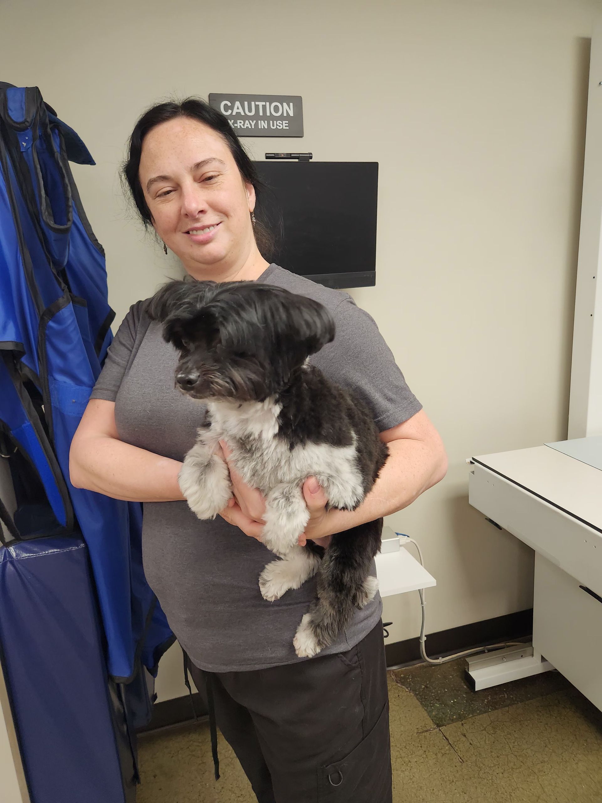 Person holding a black-and-white dog in a clinic room, standing beside a table and wall sign.