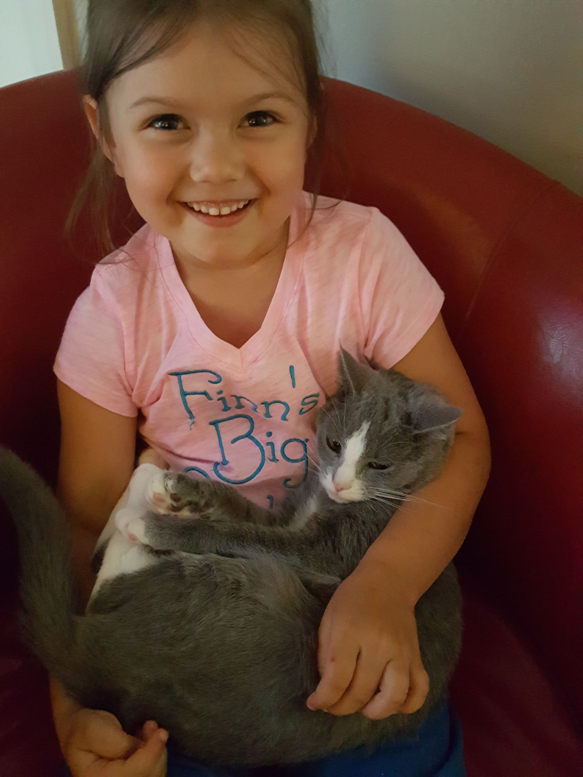 Smiling child in a pink shirt holding a gray cat in a red chair