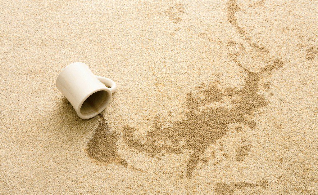 Family on carpet floor