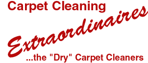 Carpet Cleaning Extraordinaires - logo