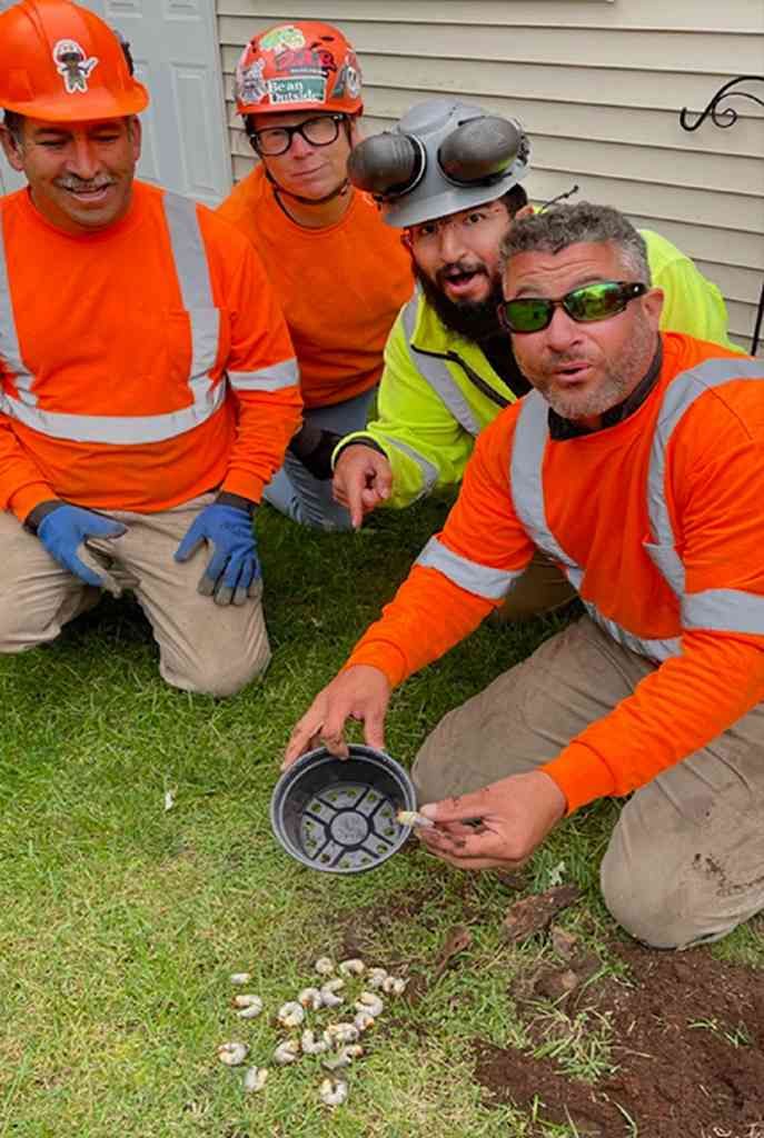 a group of construction workers are kneeling down in the grass
