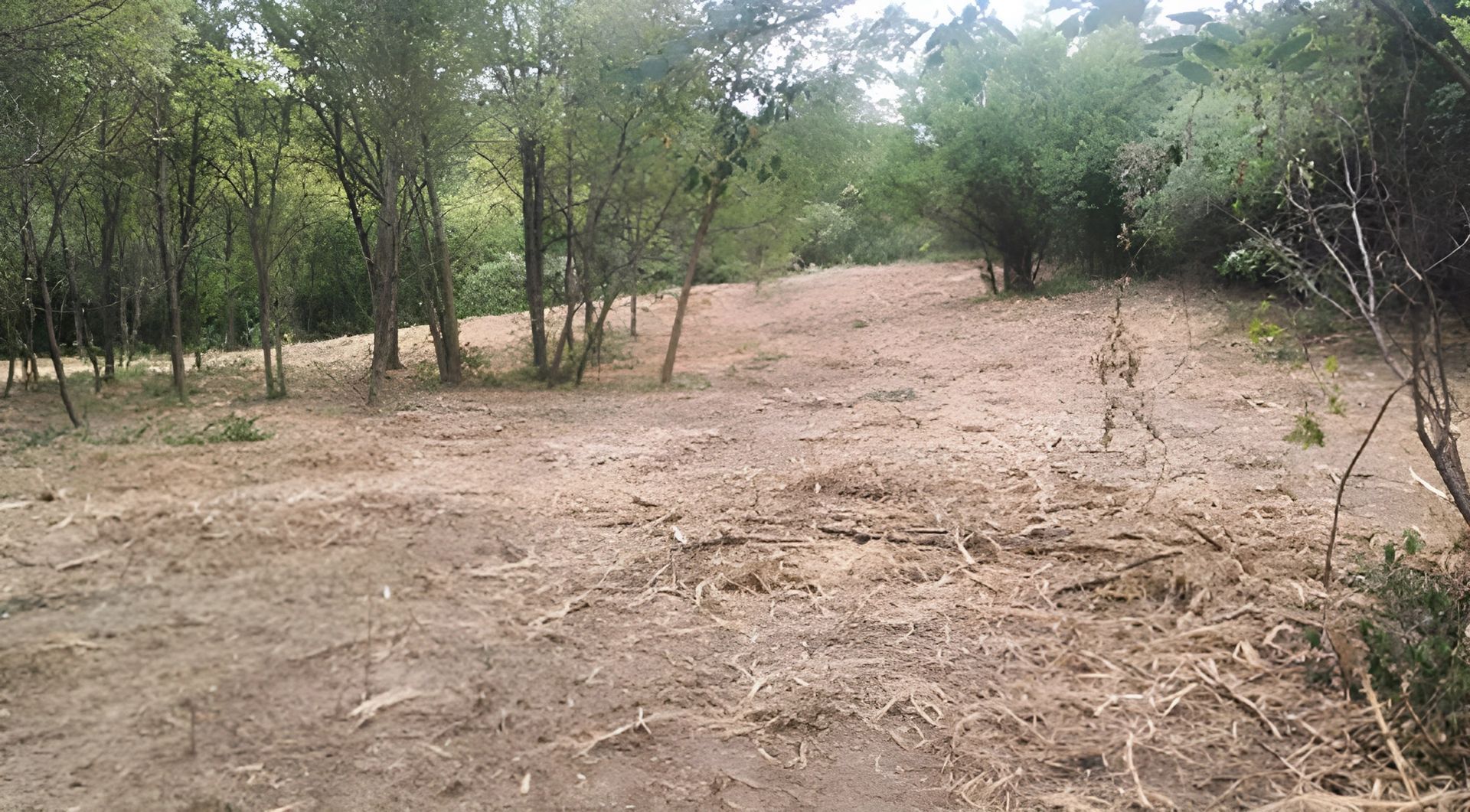 a dirt field in the middle of a forest with trees in the background