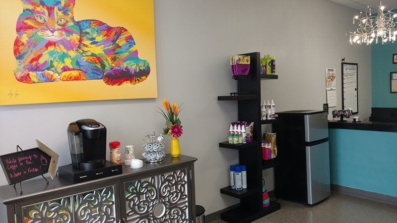 Cat boarding services