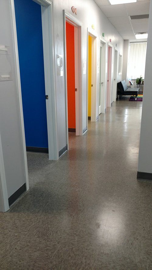 Cat boarding services