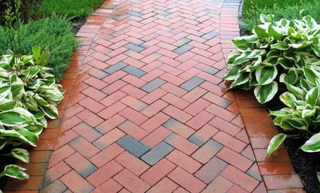 a brick walkway with a herringbone pattern is surrounded by plants
