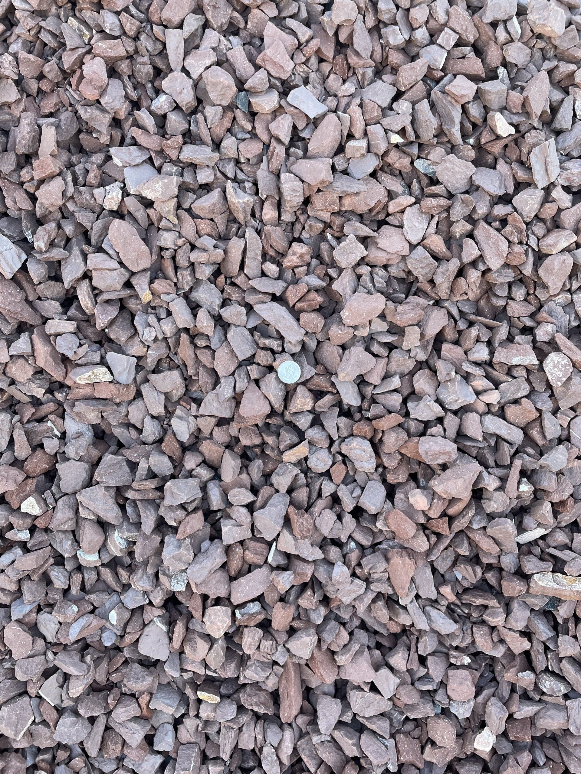 Pennsylvania Red Traprock 3/4