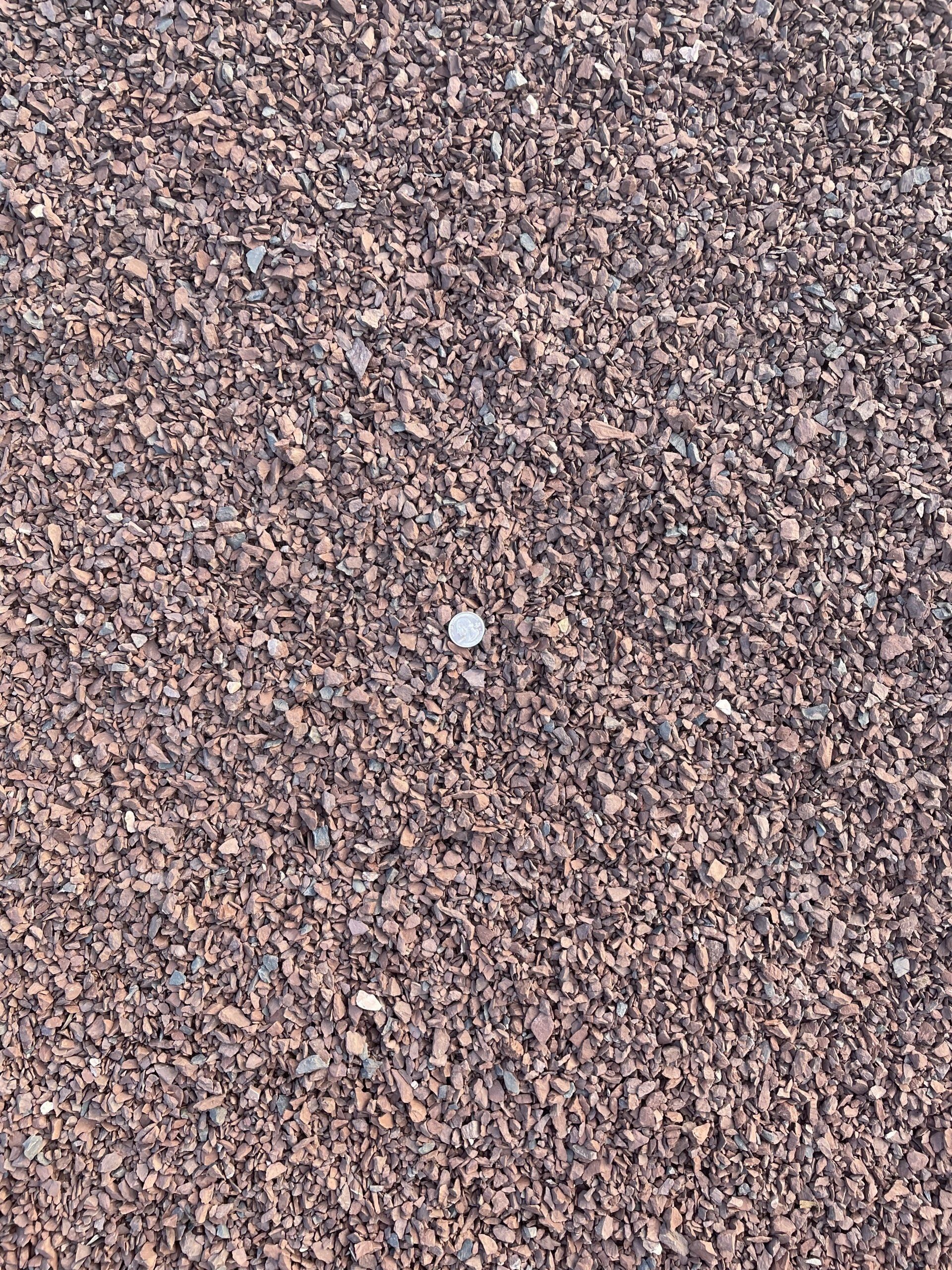 Pennsylvania Red Traprock  3/8