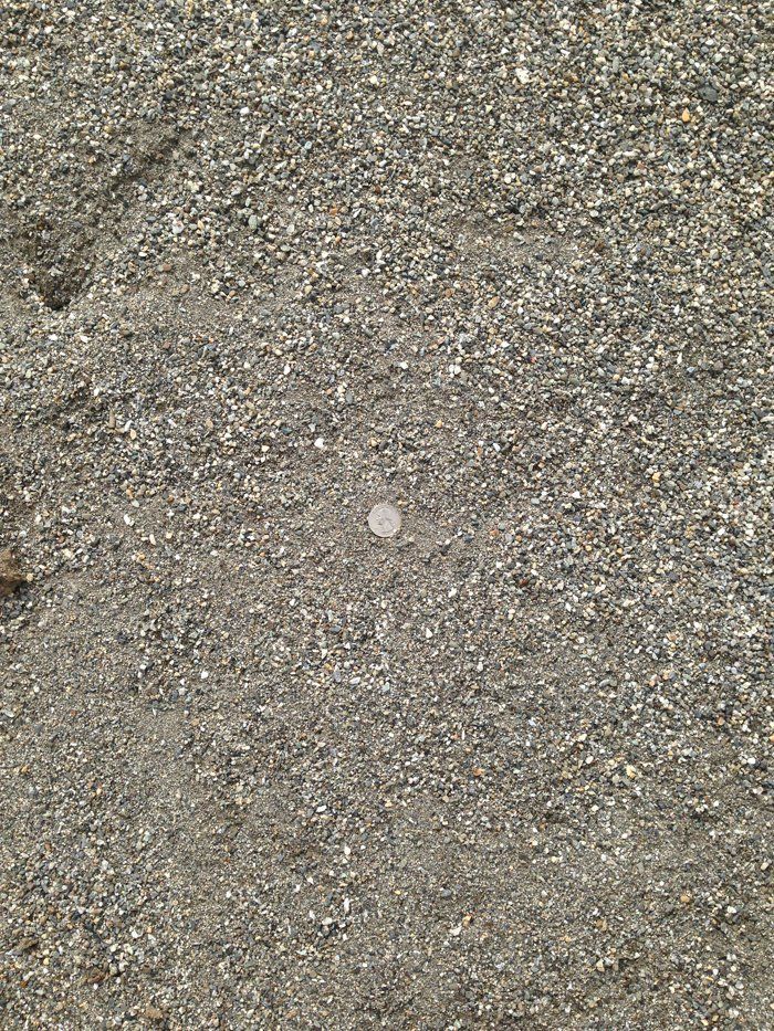 Coarse Native Sand
