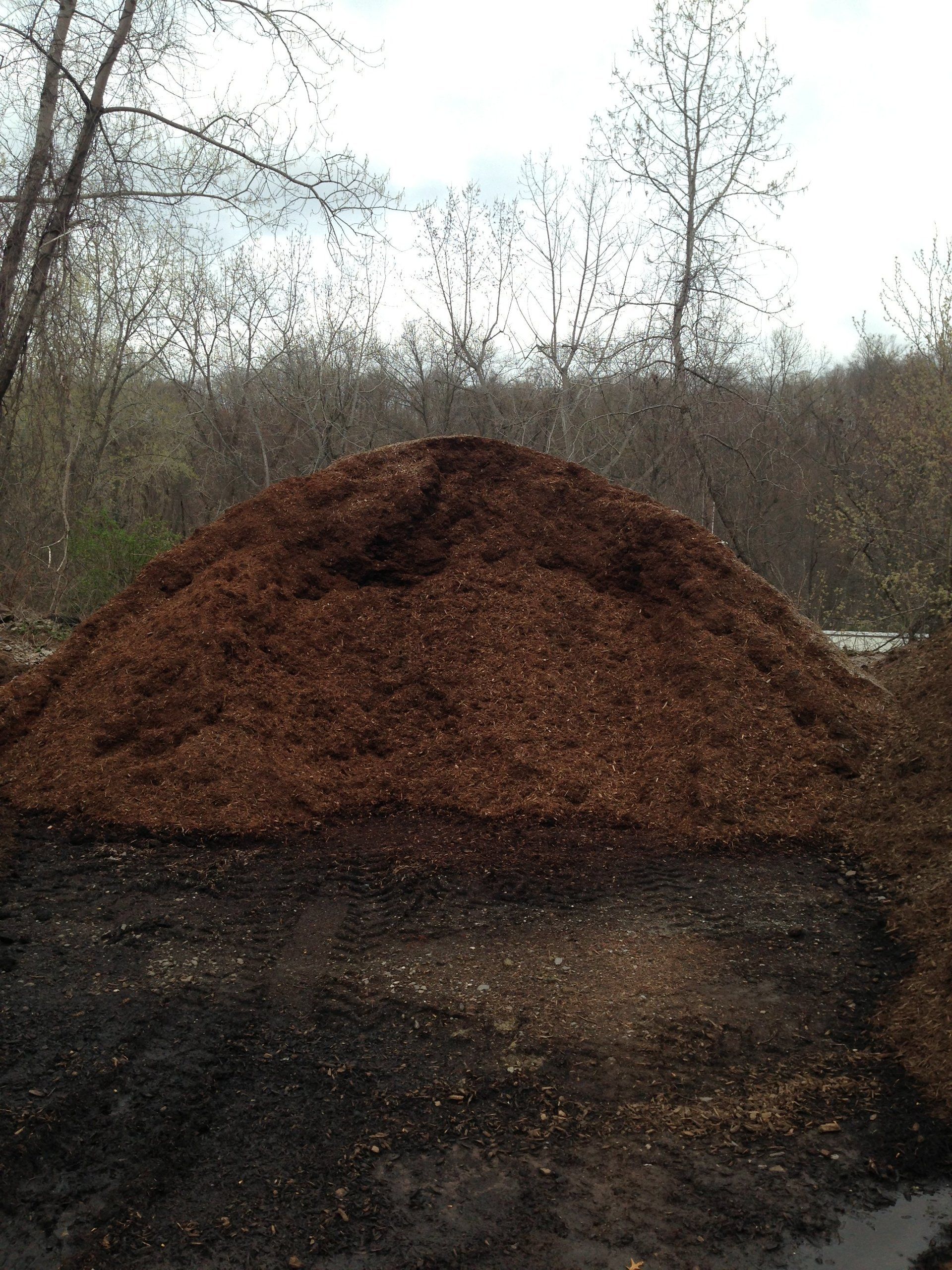 Hemlock Mulch