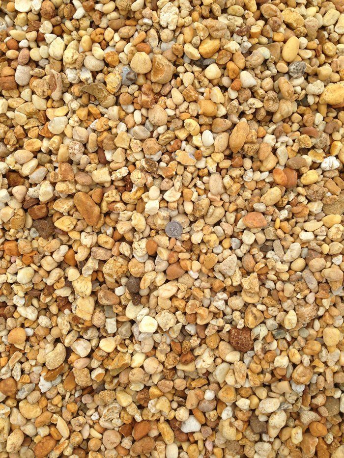 New Jersey Beach Gold                     3/4