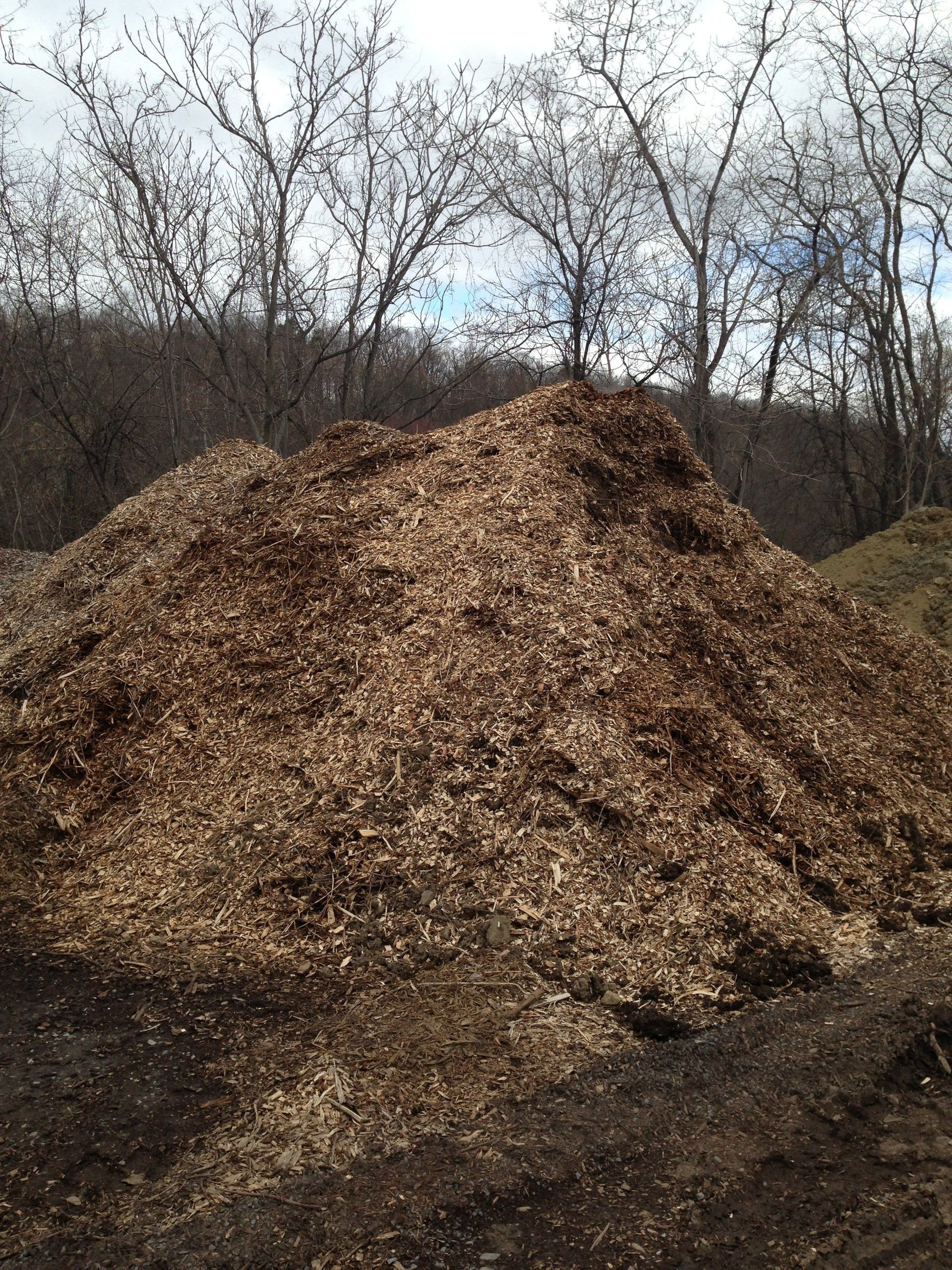 Wood Chips