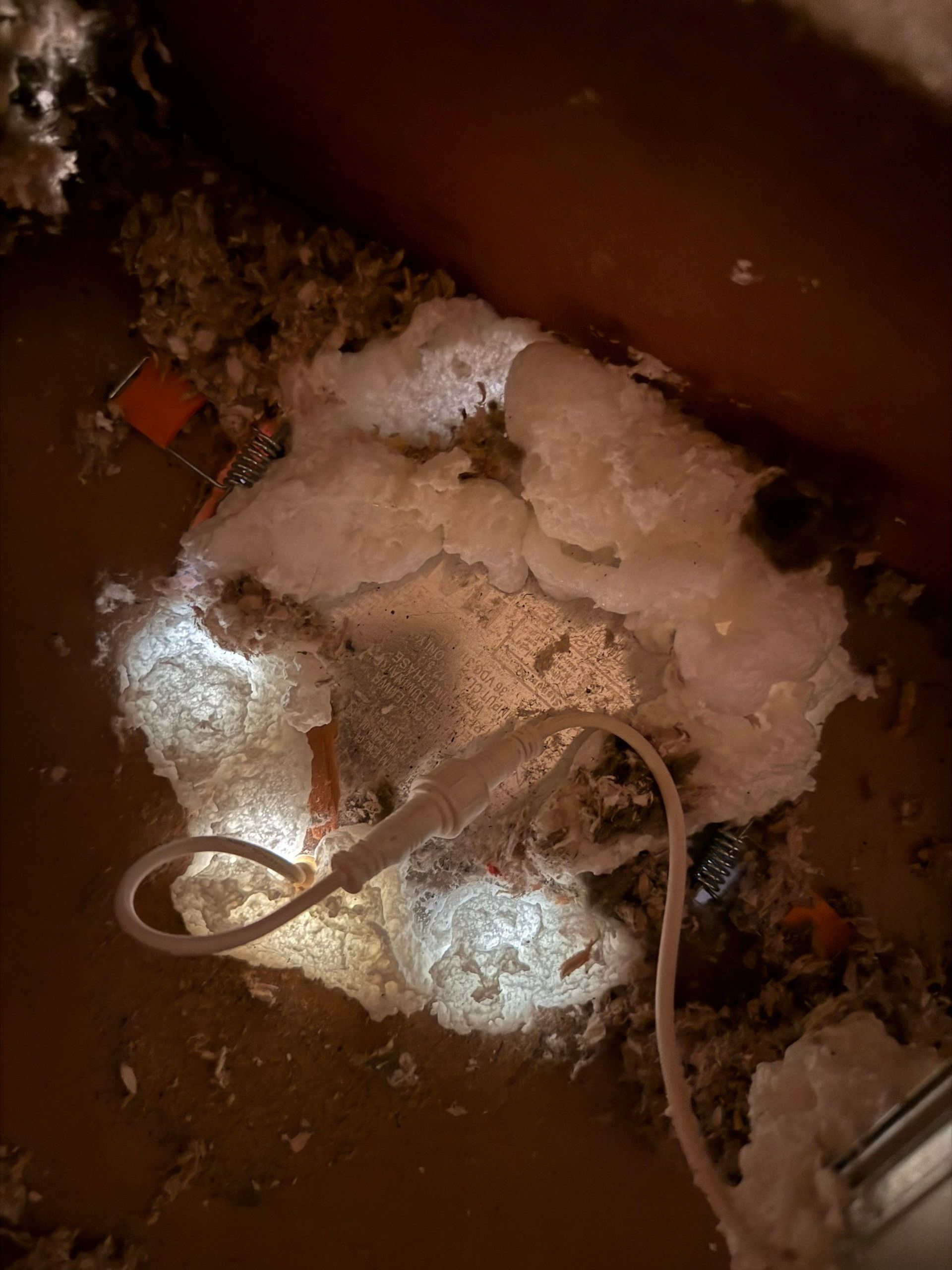 Hole in ceiling insulation with exposed wiring and light. White insulation clumps around the hole, illuminated by a light.