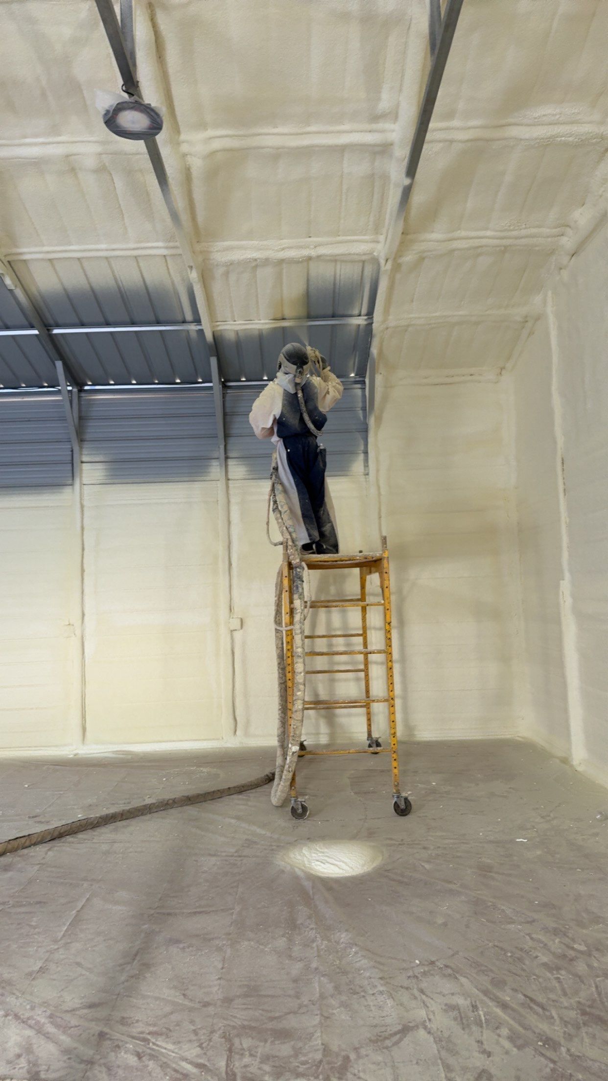 Person on a ladder painting a ceiling in a large room.