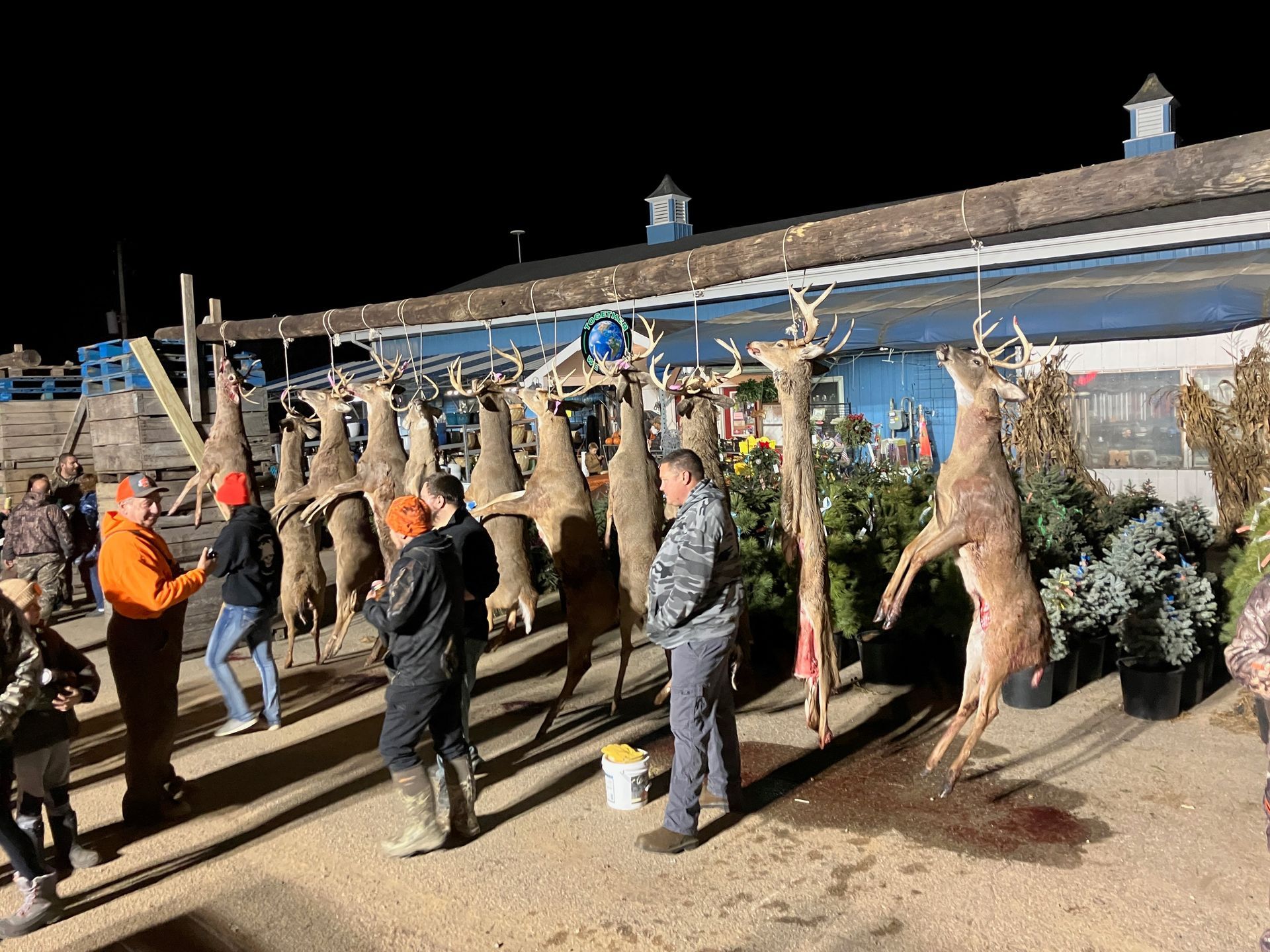 A group of people are standing in front of a building with deer hanging from the roof.