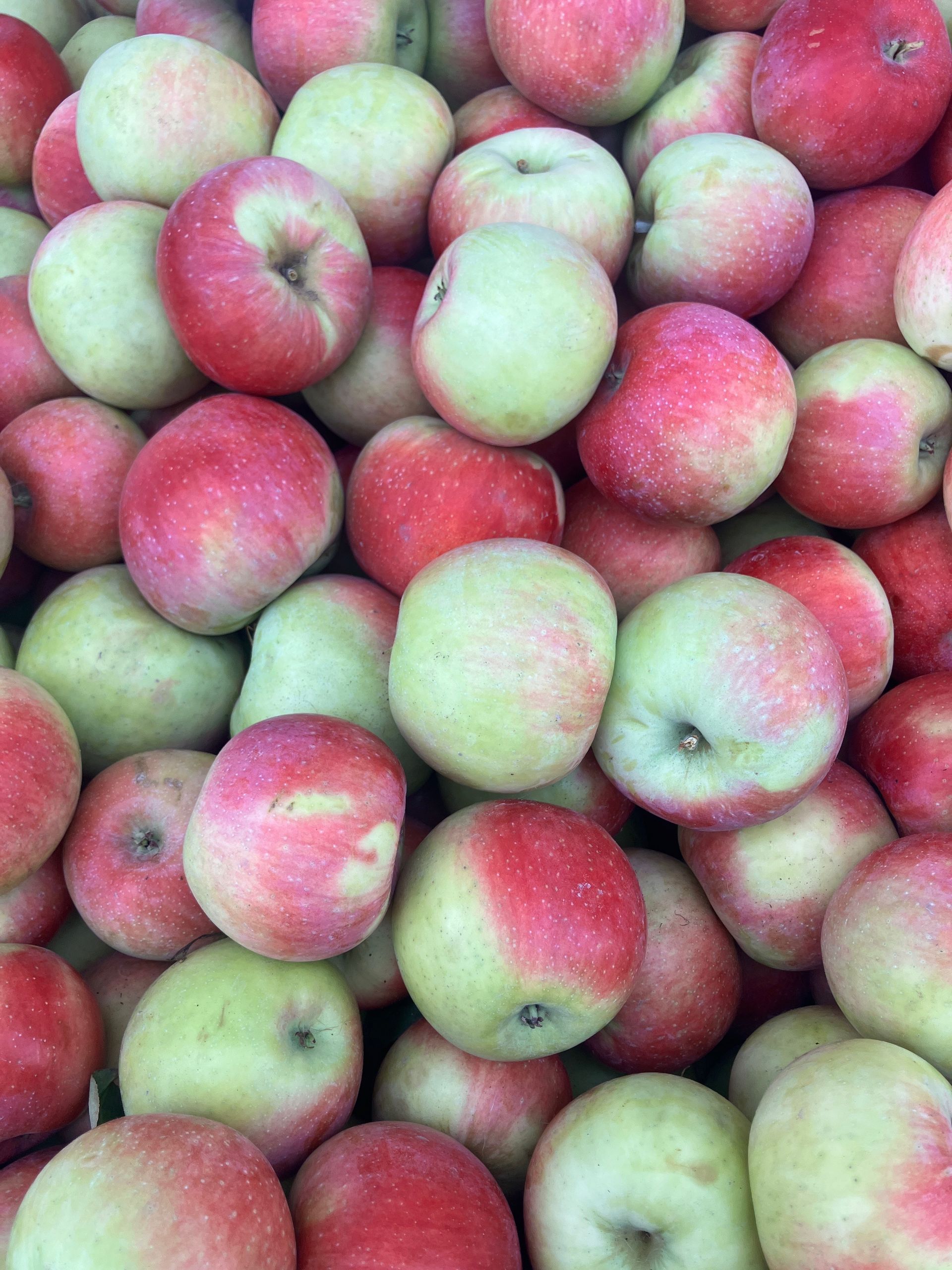 A pile of red and green apples sitting on top of each other.