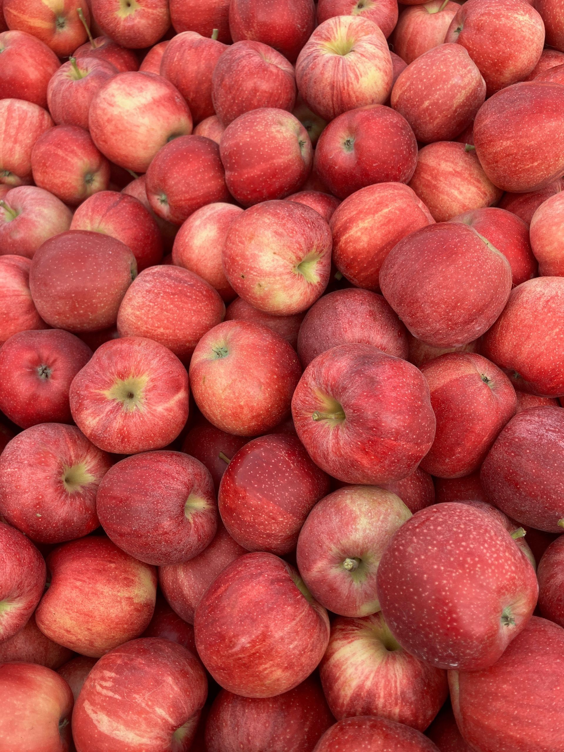 A pile of red apples sitting on top of each other.