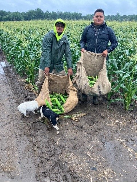 Two men are standing in a field holding bags of corn.