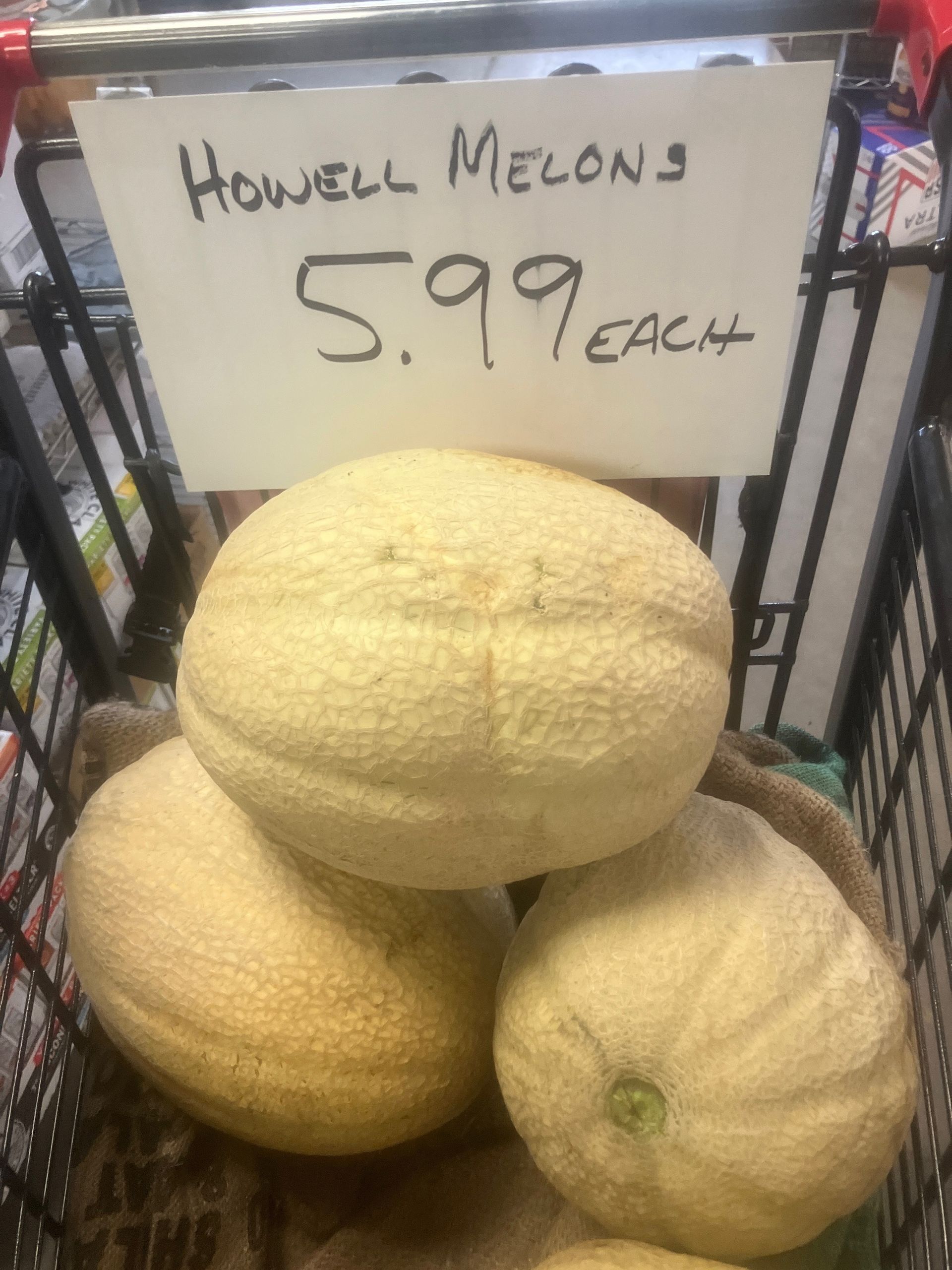A basket of howell melons for 5.99 each