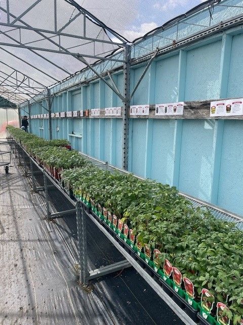 A greenhouse filled with lots of potted plants.