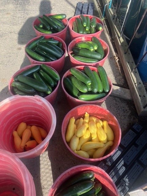 A bunch of bowls filled with different types of vegetables