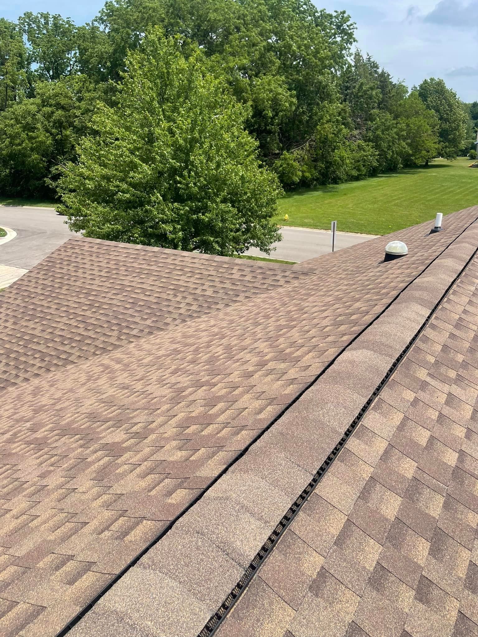 A close up of a roof with trees in the background.