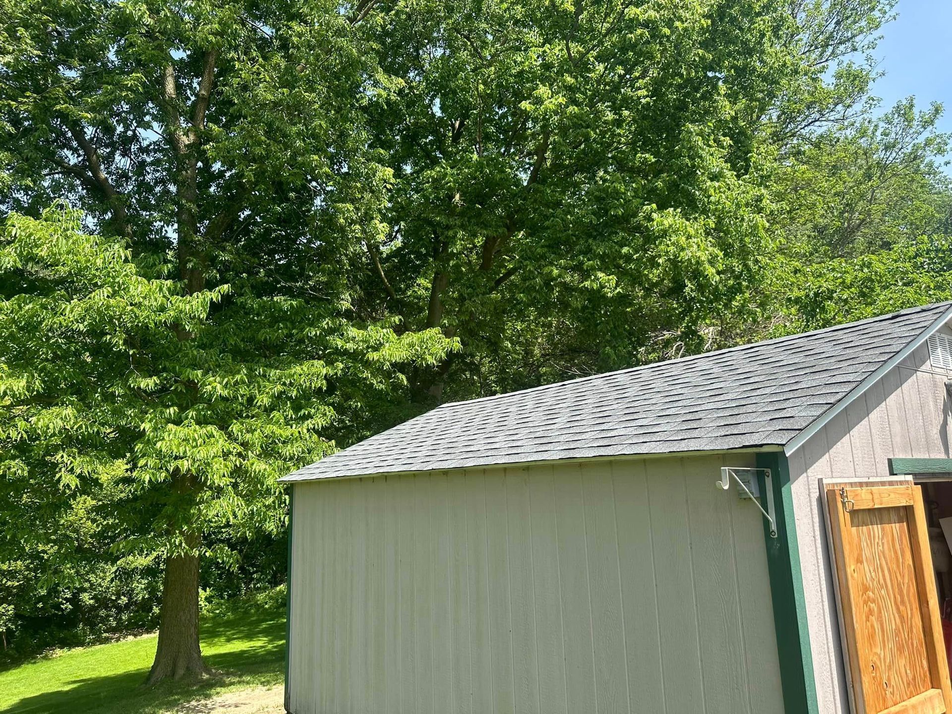 A shed with a roof and a tree in the background.