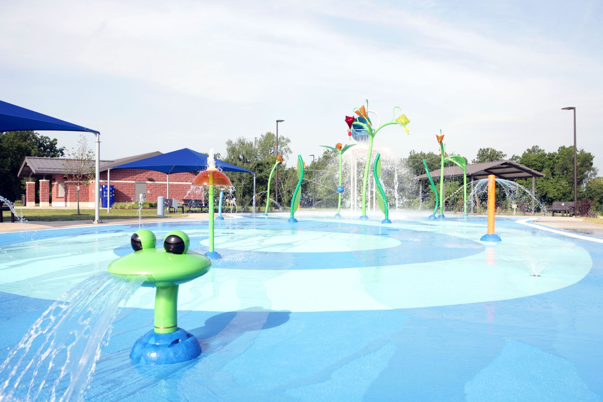 A water park with a frog shaped fountain in the middle of it.