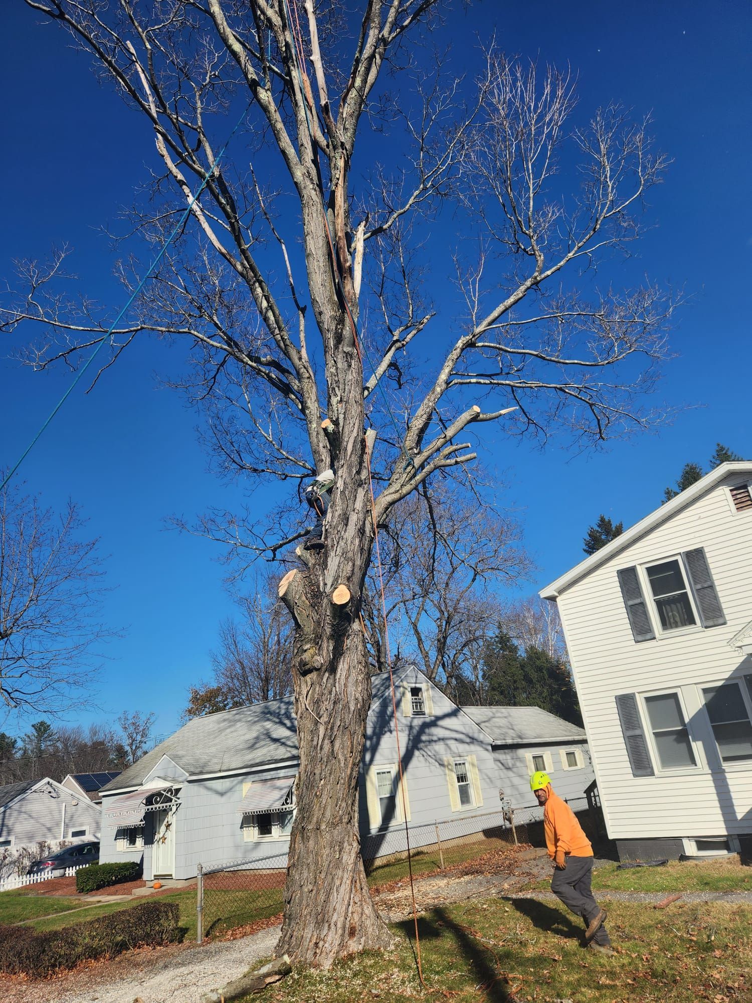 Lawn & Garden Services | Andrade Tree Service | Lynn, MA