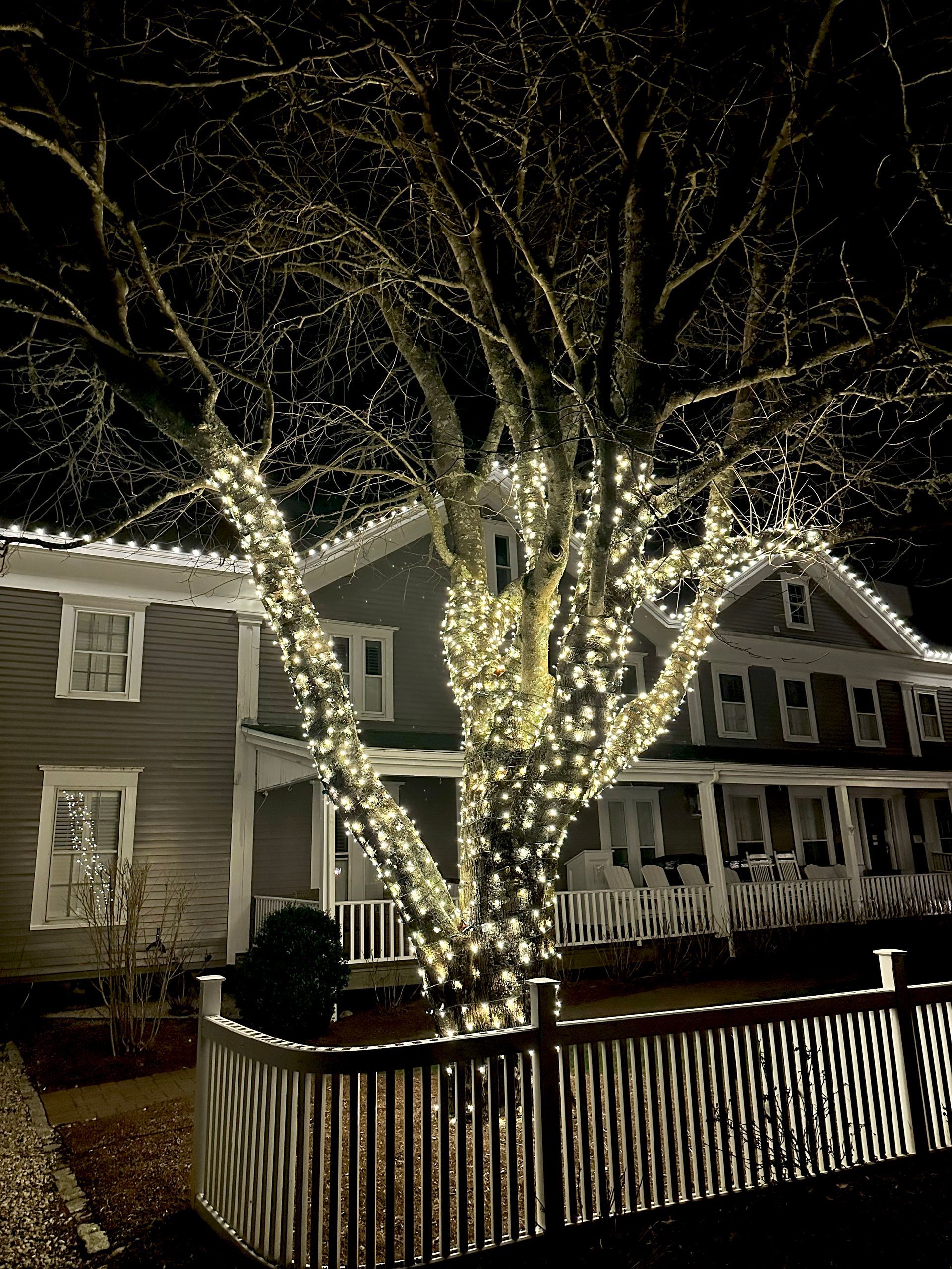 Holiday lighting installation