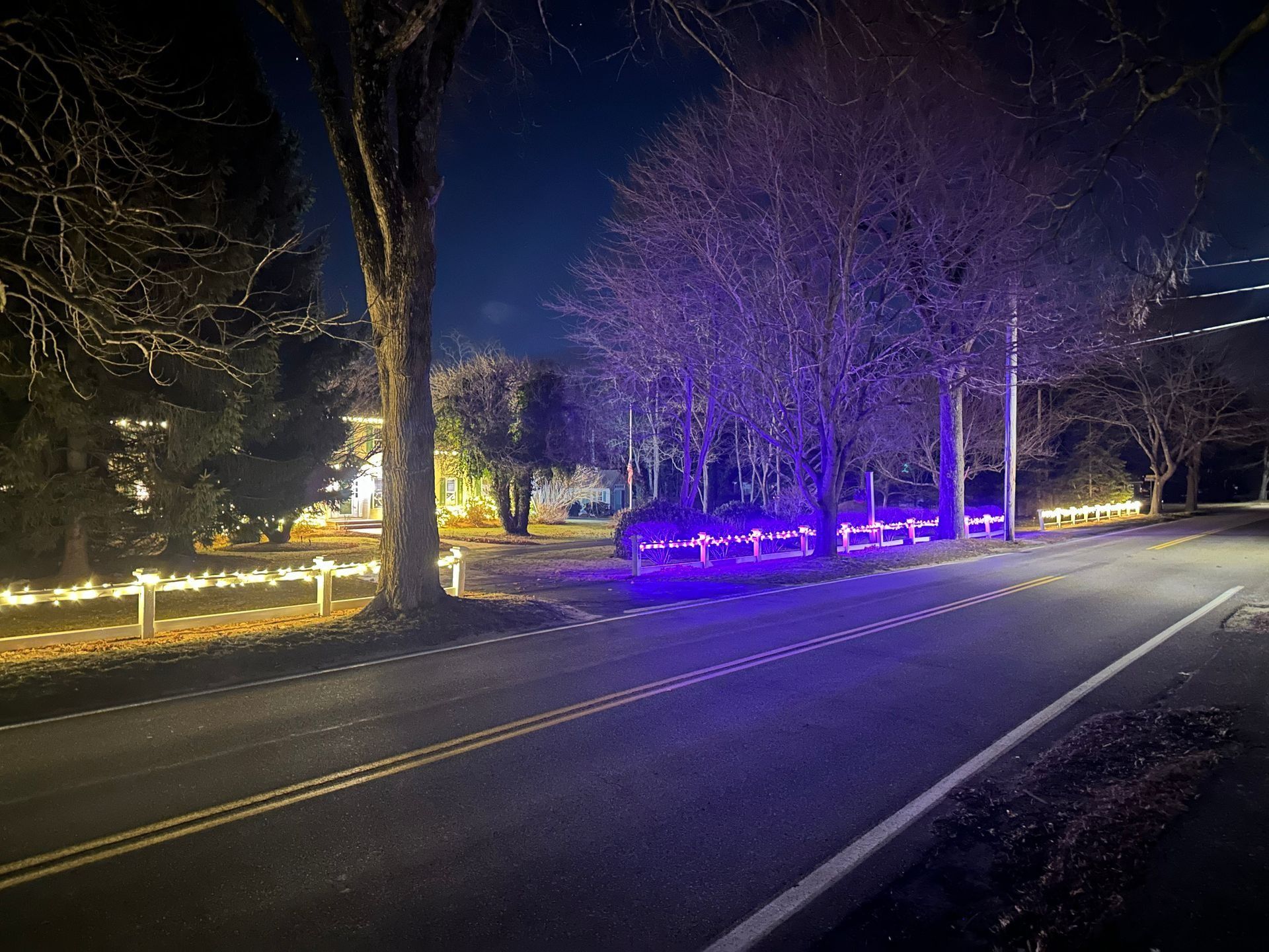 Street view at night with purple and white lights on trees and fence.