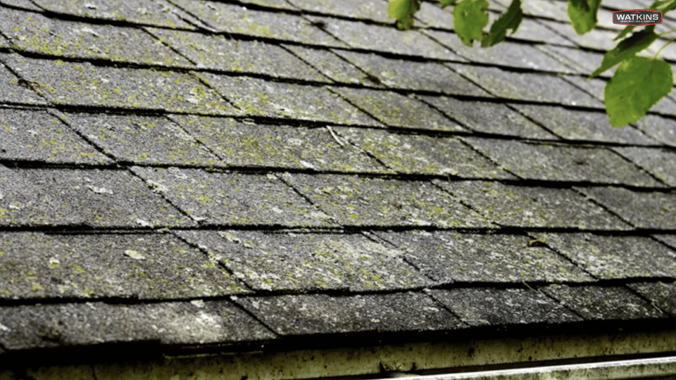 Roof cleaning Cape Cod in South Shore