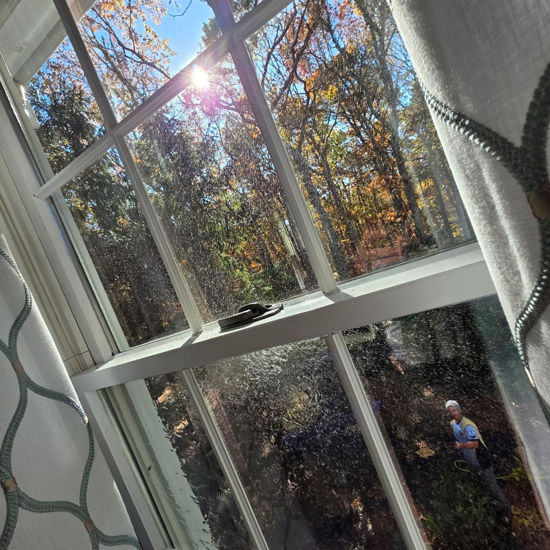 Professional window cleaning, duchesney window washing