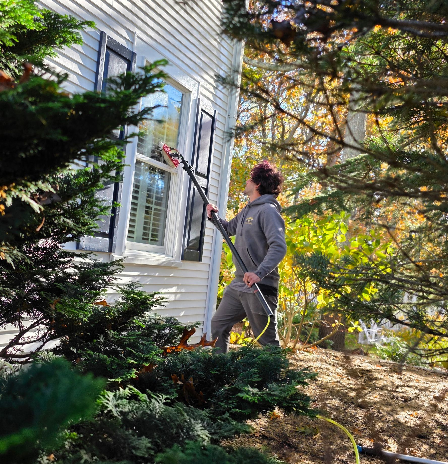Duchesney window washing