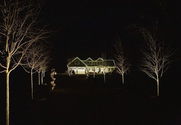 Night view of a house lit up with green Christmas lights, framed by bare trees on a dark lawn.