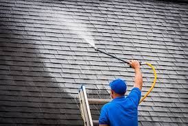 Insurance companies make you clean your roof to maintain insurance on Cape Cod and the South Shore