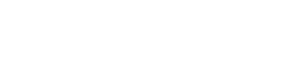 DFW Total Well Solutions - logo