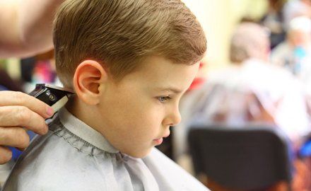 little boy getting haircut