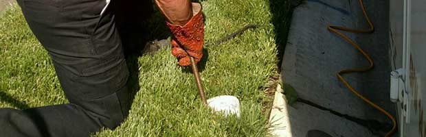 Drain cleaning