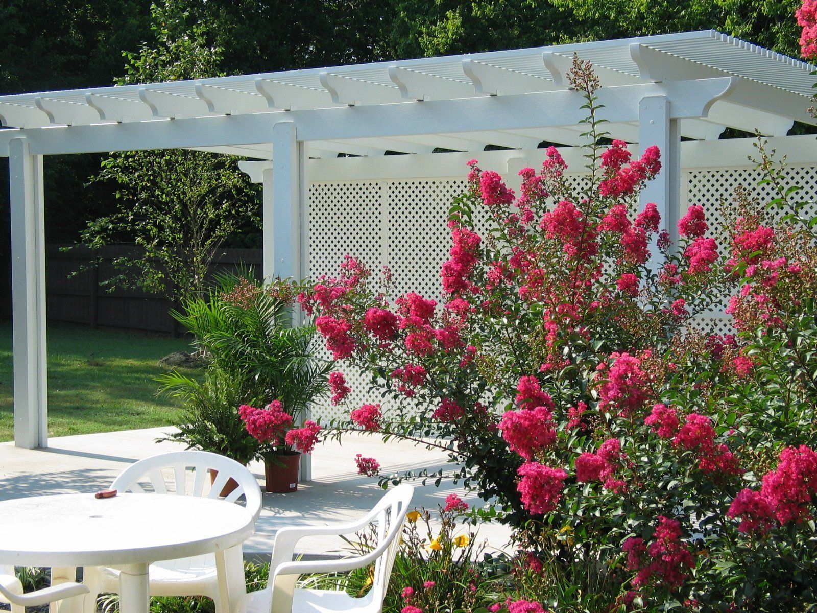 A white pergola with pink flowers in front of it