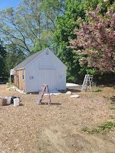 A white garage is being painted in a yard with a ladder in front of it.
